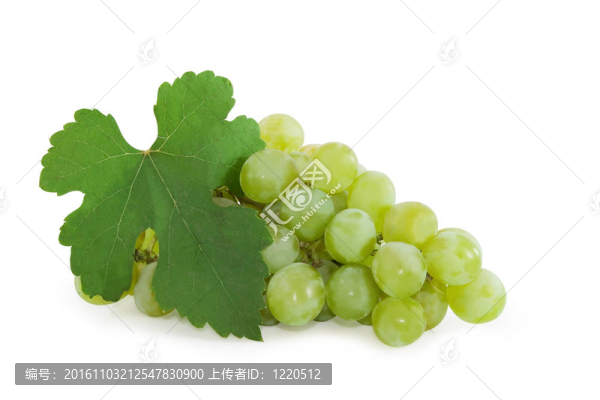 關(guān)閉了一堆白色的葡萄
