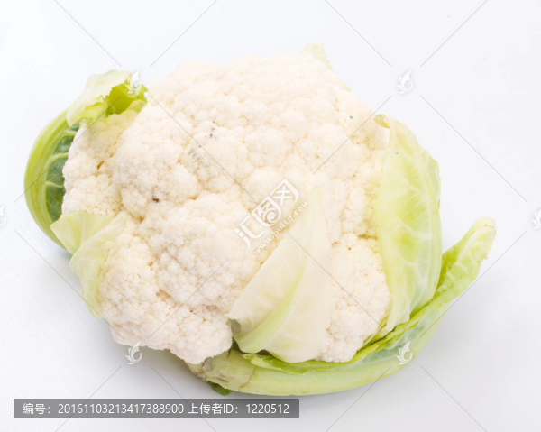 白色新鮮花椰菜