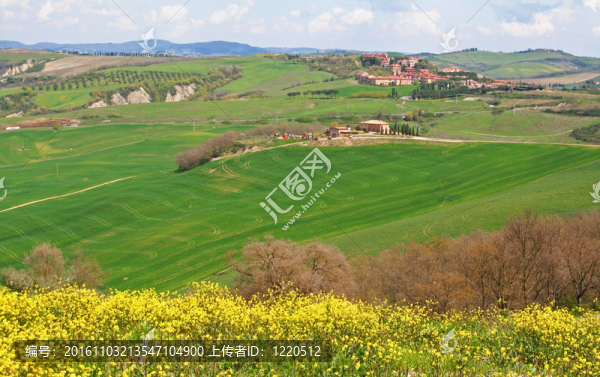 意大利.Val,d,Orcia山谷。托斯卡納景觀