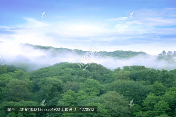 山地景觀