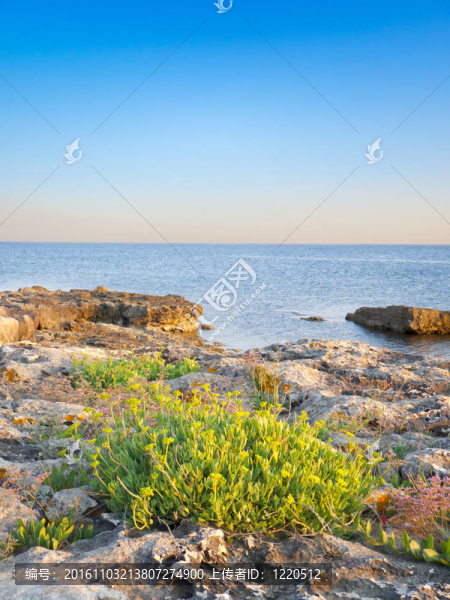 卵石的海灘