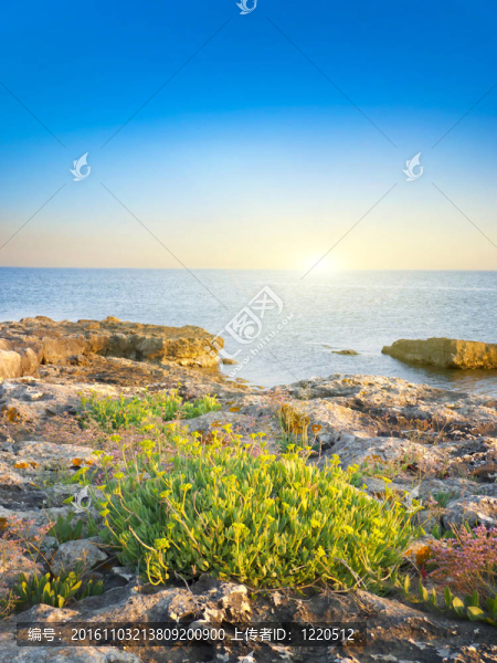 卵石的海灘