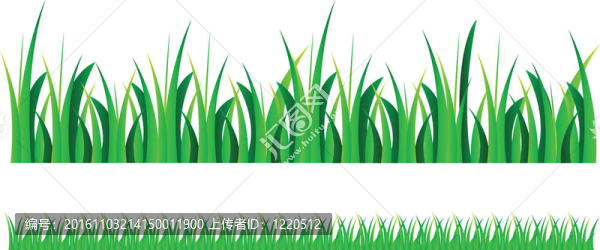 向量的青草