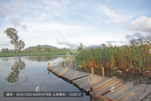 Jetty湖上