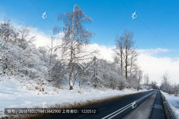 冬天的路