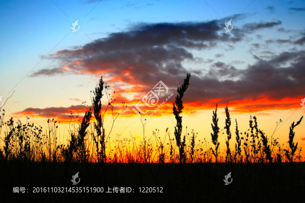 黃昏景觀
