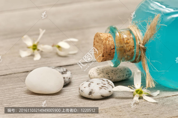 SPA的靜物