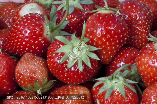 草莓