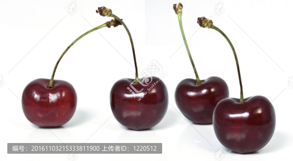 櫻桃
