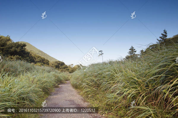 國家公園景觀