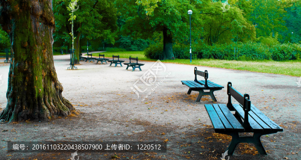 秋天在公共公園