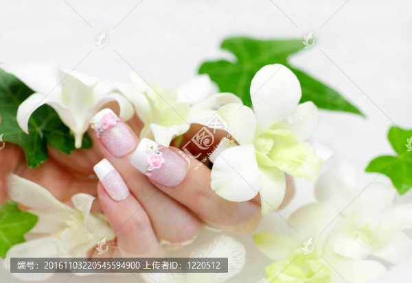 釘和蘭花