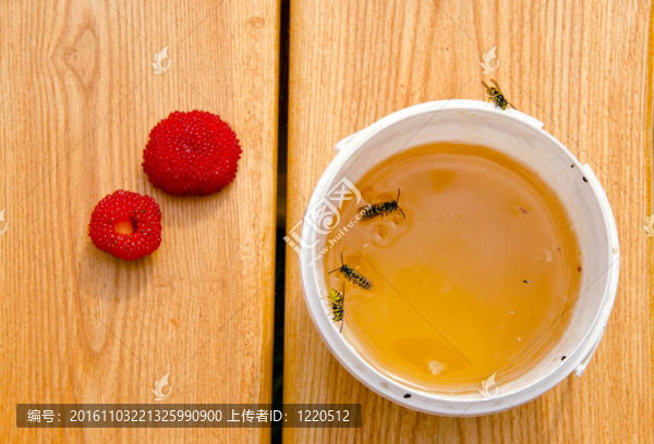 夏蜜和大黃蜂