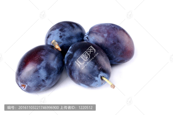 白色背景上的李子