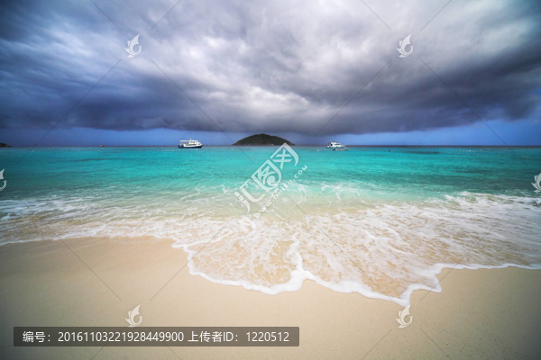熱帶雨林