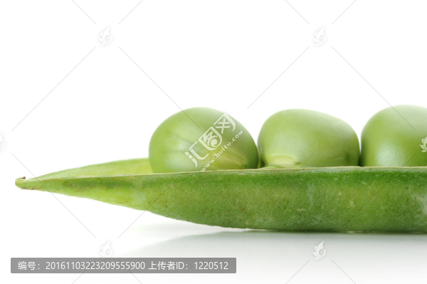 豌豆