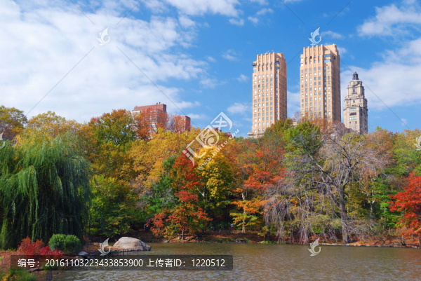 曼哈頓市紐約中央公園