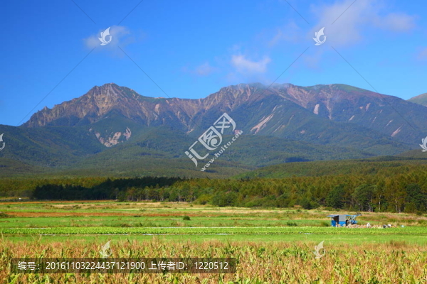 蔬菜場與山