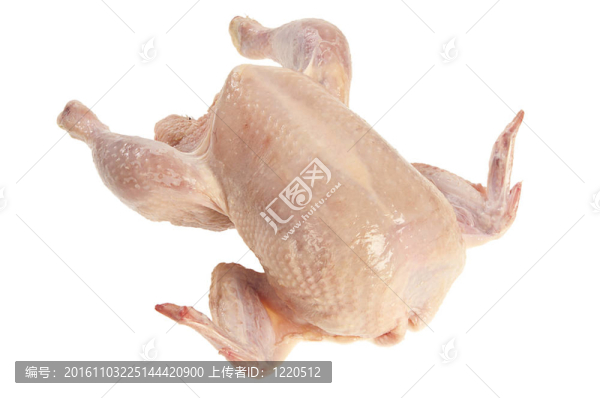 生雞肉