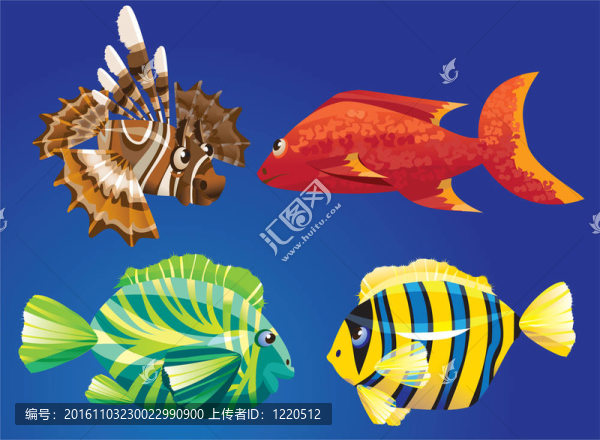 紅色的海洋魚類