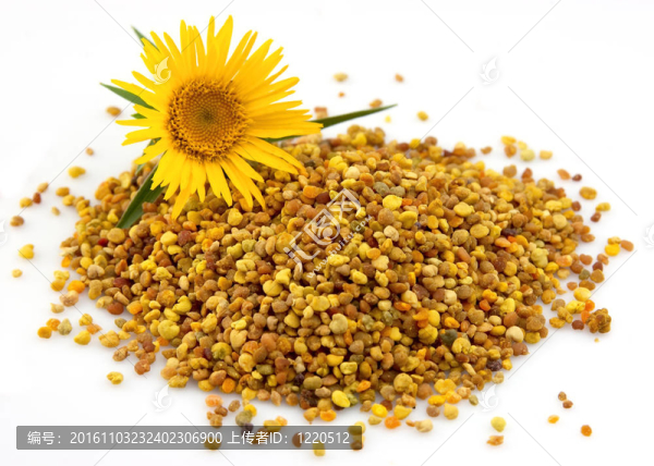 花的花粉