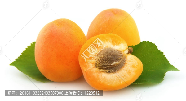 成熟的杏子