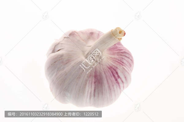 白蒜