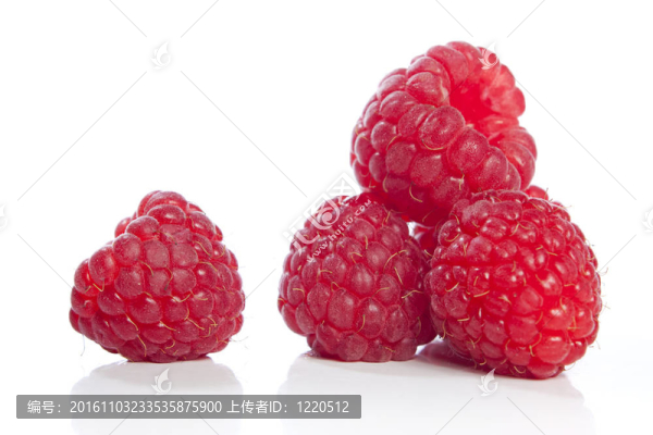 覆盆子