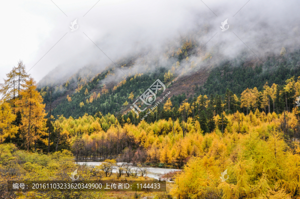 畢棚溝秋色