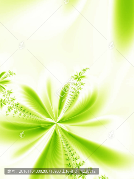 摘要花
