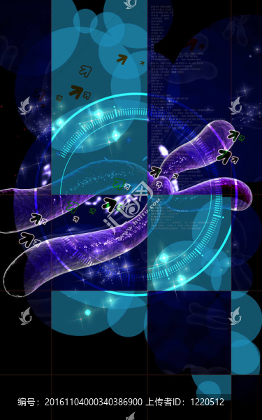 染色體