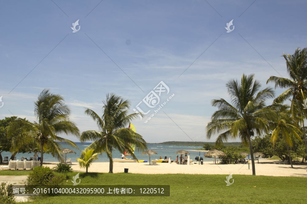 加勒比海灘