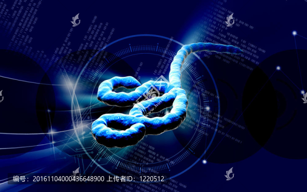 埃博拉病毒