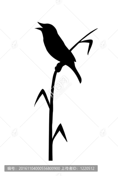 坐在稀土元素上的鳥