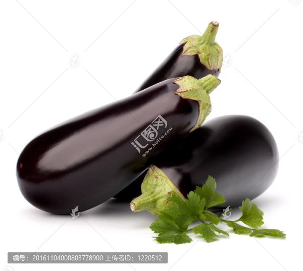 茄子、茄子和香菜葉