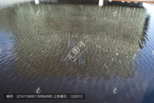 在雷克雅未克的豎琴音樂中心的思考