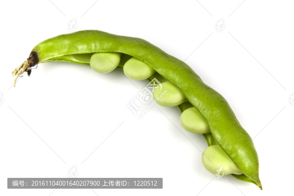 蠶豆