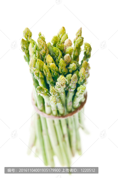 一群蘆筍潮