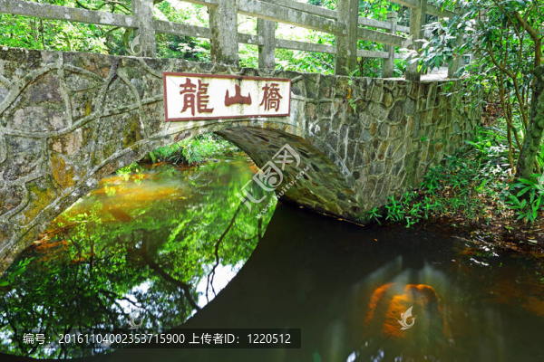橋在森林