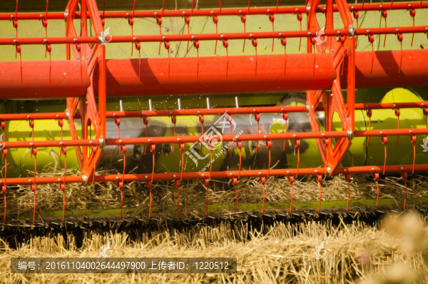 聯(lián)合收割機(jī)收割玉米