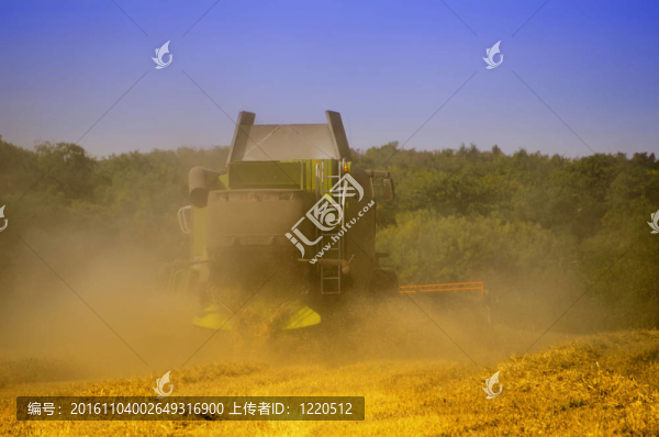 聯(lián)合收割機(jī)收割玉米