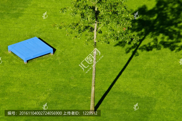 綠色草地上的綠色樹