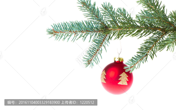 樹(shù)枝上的紅色圣誕球