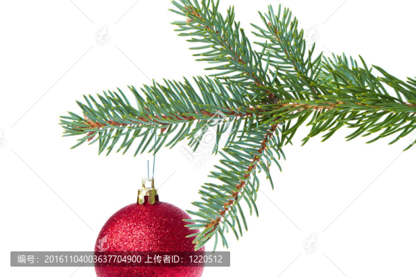圣誕樹上掛著的紅色圣誕球
