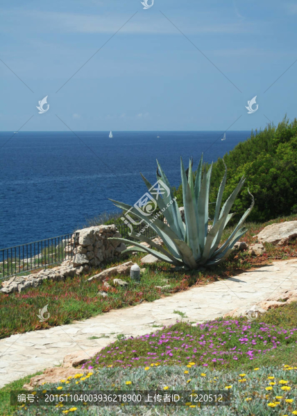 mediterranean2