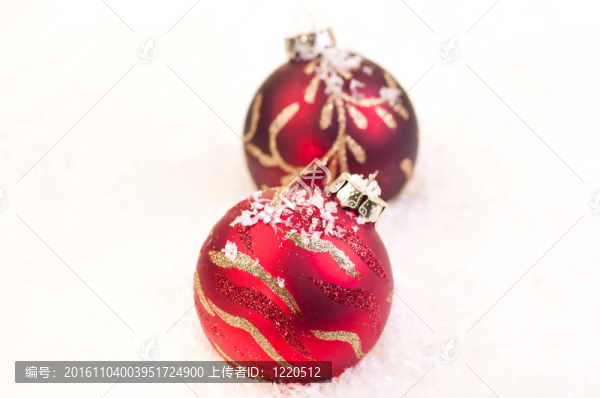 兩圣誕紅的小玩意在雪