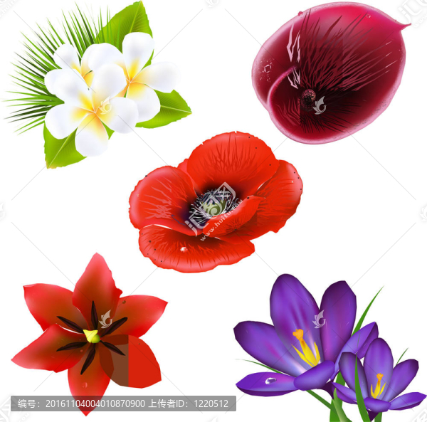 設(shè)置現(xiàn)實(shí)的花朵