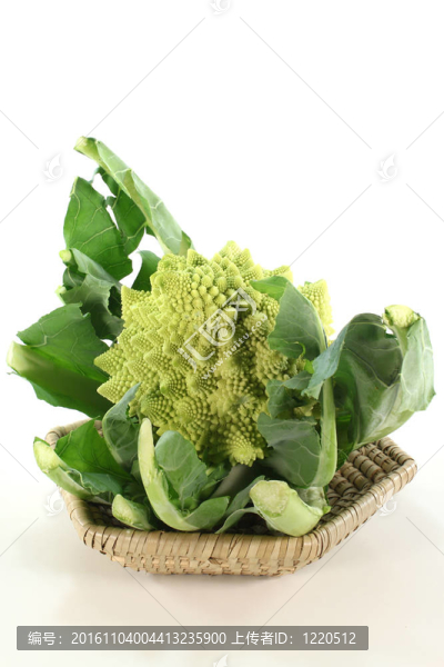 寶塔花菜