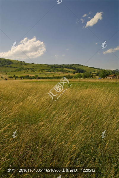 夏天的風(fēng)景