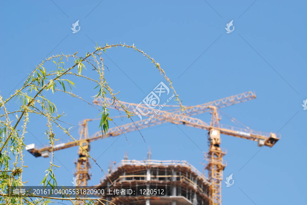 建設(shè)